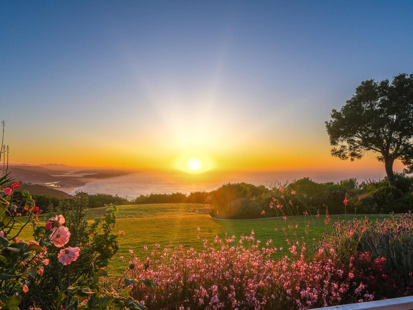 Hilltop Boutique Hotel, Flower, Plant, Nature, Sunset, Sky