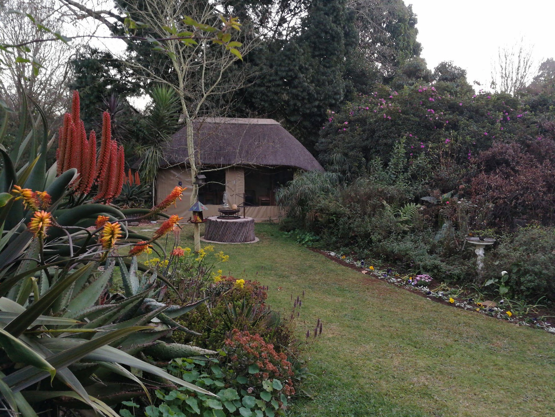 Hilton Safari Lodge Hilton Pietermaritzburg Kwazulu Natal South Africa House, Building, Architecture, Plant, Nature, Garden