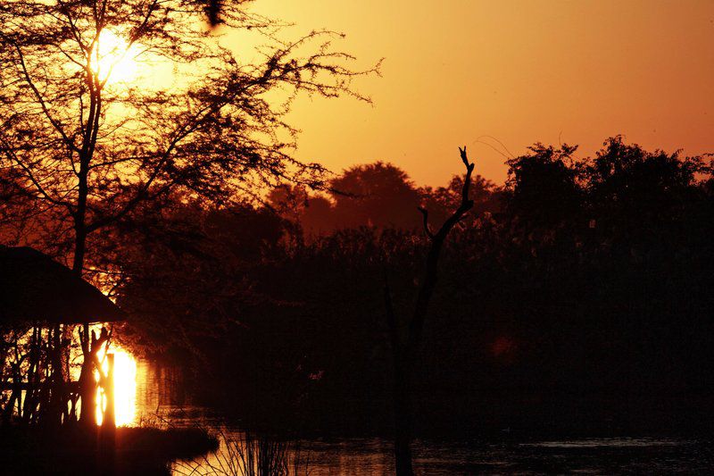 Hippo S Haven Hans Merensky Phalaborwa Limpopo Province South Africa Sky, Nature, Sunset