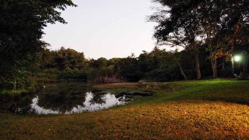 Hippo S Haven Hans Merensky Phalaborwa Limpopo Province South Africa River, Nature, Waters, Tree, Plant, Wood