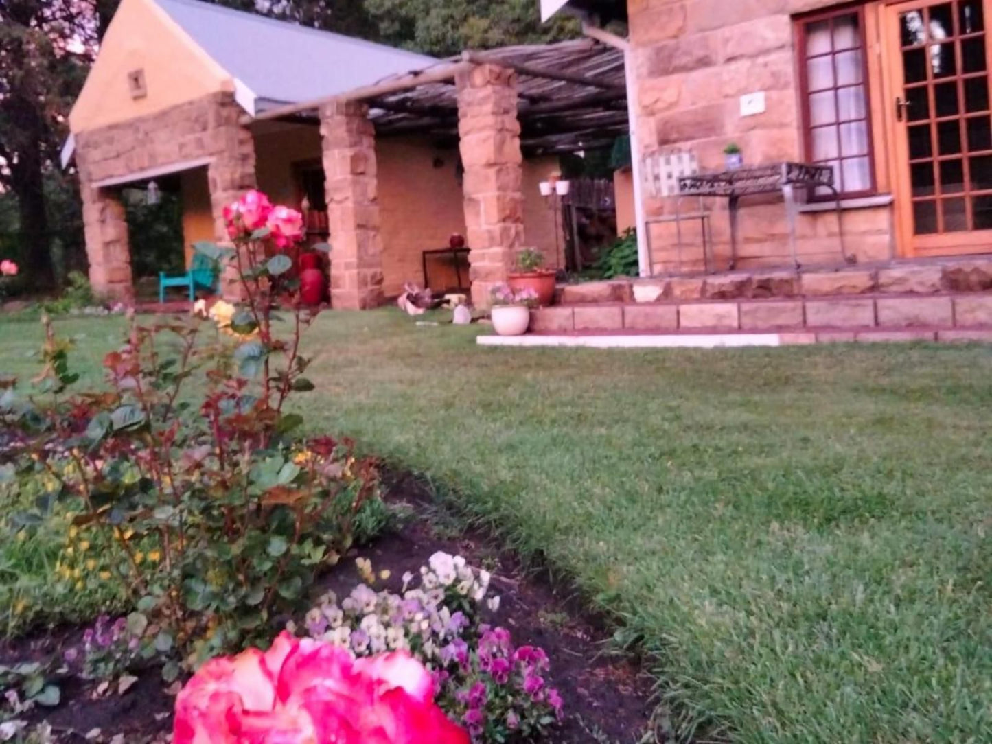 His Vessel Guesthouse Pty Ltd Clarens Free State South Africa Plant, Nature, Rose, Flower, Garden