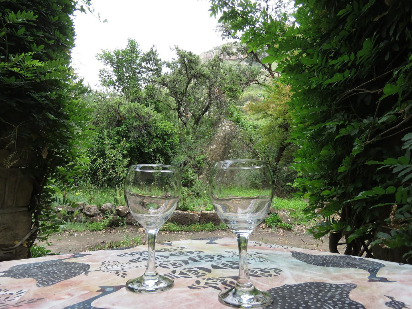 His Vessel Guesthouse Pty Ltd Clarens Free State South Africa Drink, Glass, Drinking Accessoire, Wine, Wine Glass, Food, Garden, Nature, Plant