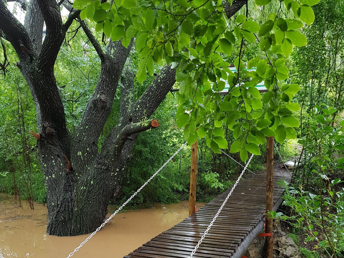 His Vessel Guesthouse Pty Ltd Clarens Free State South Africa Boat, Vehicle, Bridge, Architecture, Canoe, River, Nature, Waters, Tree, Plant, Wood