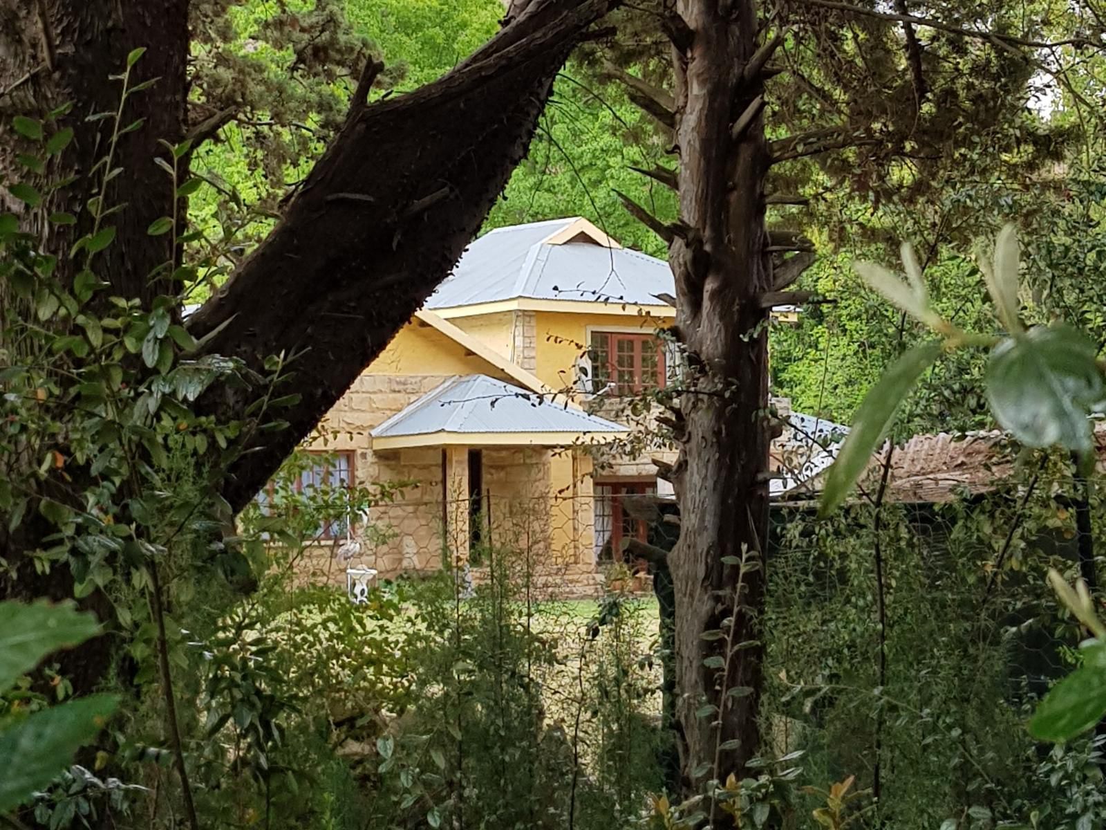 His Vessel Guesthouse Pty Ltd Clarens Free State South Africa Building, Architecture, House