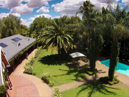 Hlangana Lodge Oudtshoorn Western Cape South Africa Palm Tree, Plant, Nature, Wood, Garden, Swimming Pool