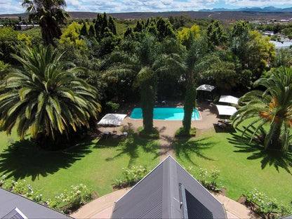 Hlangana Lodge Oudtshoorn Western Cape South Africa Palm Tree, Plant, Nature, Wood, Garden, Swimming Pool