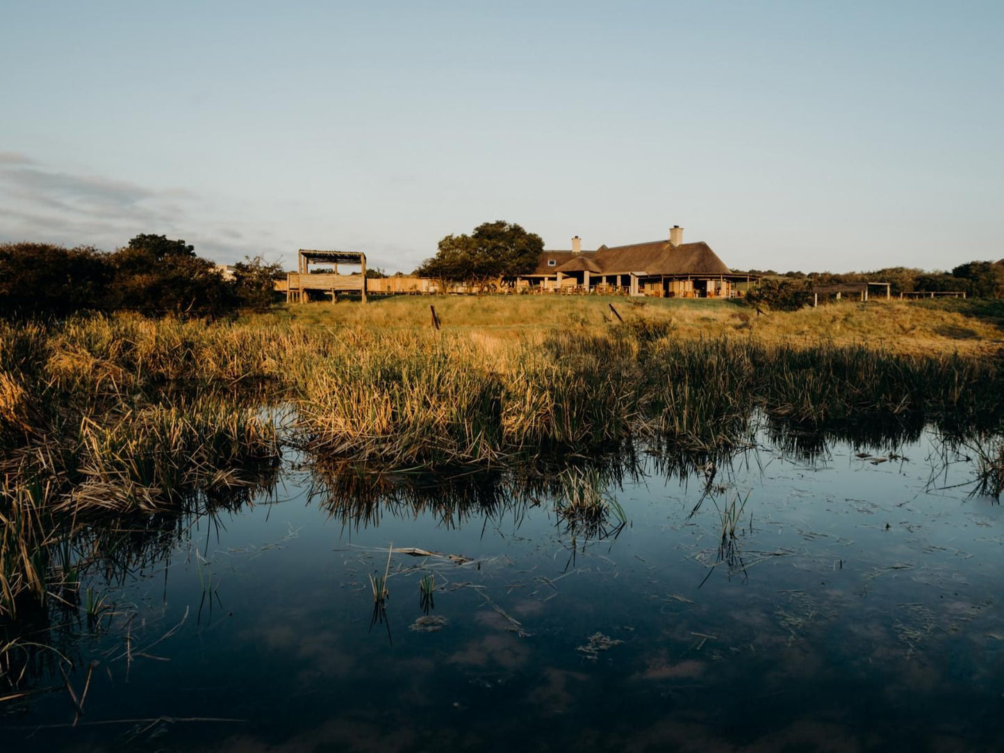 Hlosi Game Lodge Amakhala Game Reserve Eastern Cape South Africa 