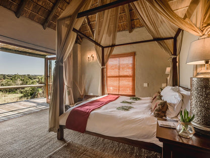 Hlosi Game Lodge Amakhala Game Reserve Eastern Cape South Africa Bedroom