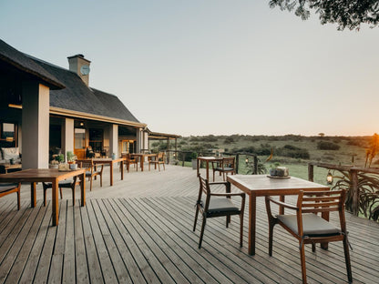 Hlosi Game Lodge Amakhala Game Reserve Eastern Cape South Africa 