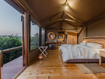 Hlosi Game Lodge Amakhala Game Reserve Eastern Cape South Africa Bedroom