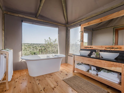 Hlosi Game Lodge Amakhala Game Reserve Eastern Cape South Africa 