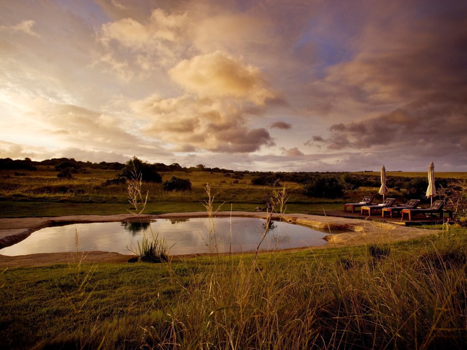 Hlosi Game Lodge Amakhala Game Reserve Eastern Cape South Africa Lowland, Nature