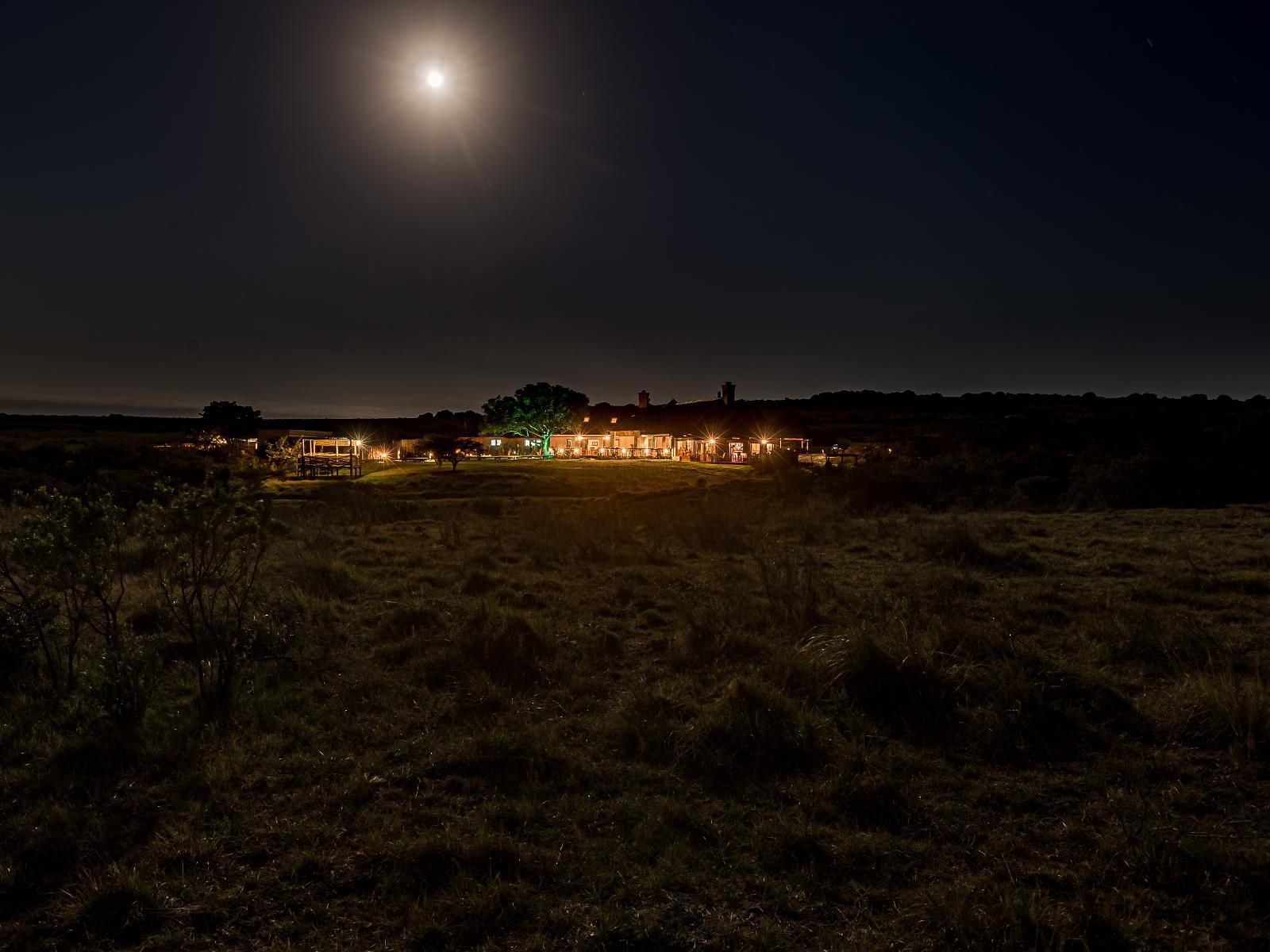 Hlosi Game Lodge Amakhala Game Reserve Eastern Cape South Africa Dark, Moon, Nature