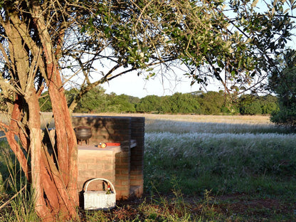 Hluhluwe Bush Camp Glamping Village Hluhluwe Game Reserve And Surrounds Kwazulu Natal South Africa 