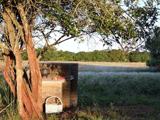 Camp Site @ Hluhluwe Bush Camp Glamping Village