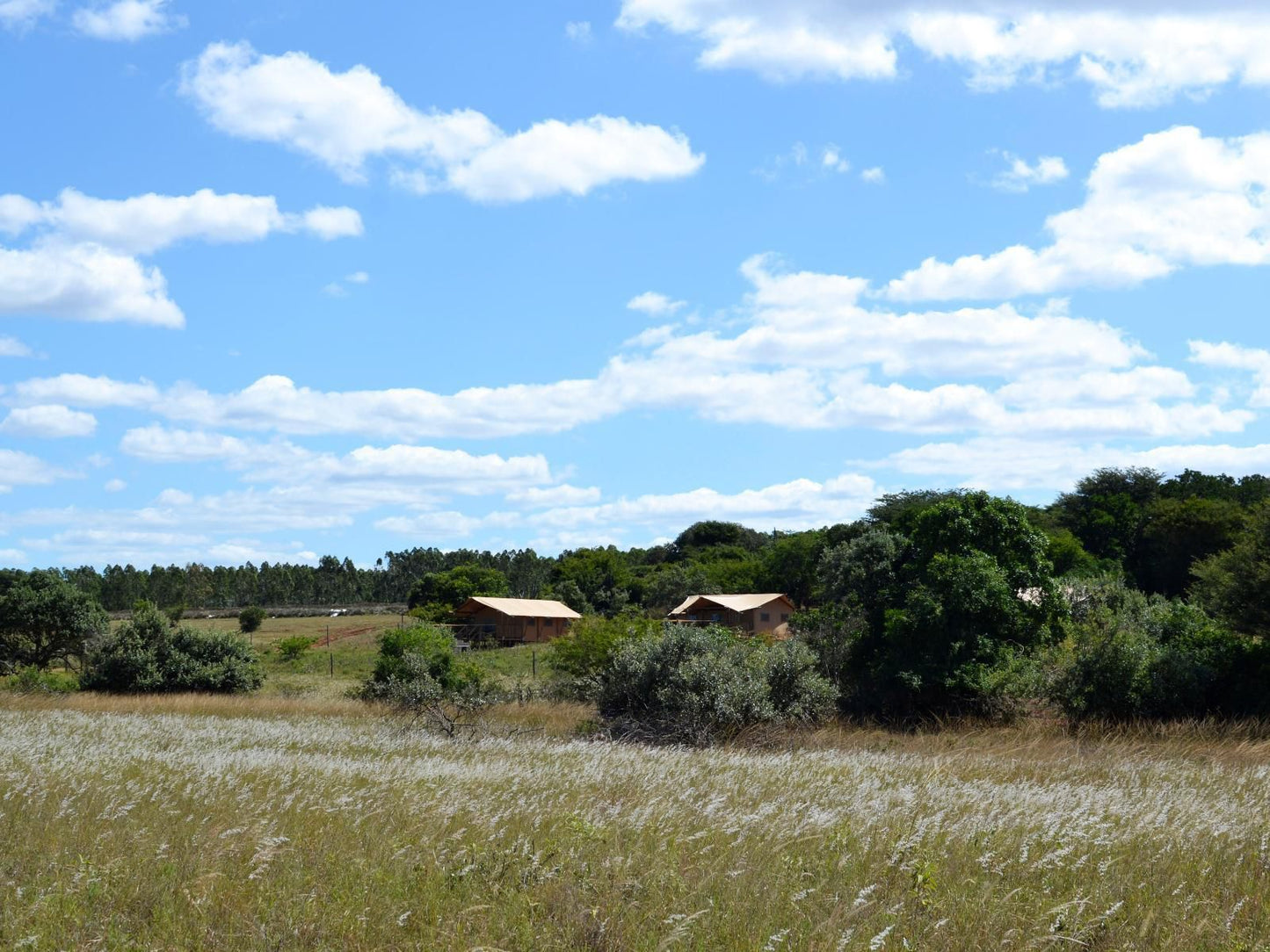 Hluhluwe Bush Camp Hluhluwe Kwazulu Natal South Africa Complementary Colors, Field, Nature, Agriculture, Lowland