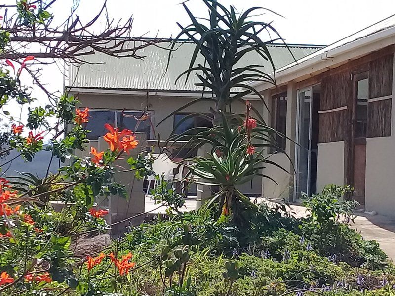 Hluhluwe Gate Safari Camp Hluhluwe Game Reserve And Surrounds Kwazulu Natal South Africa Balcony, Architecture, House, Building, Palm Tree, Plant, Nature, Wood, Garden