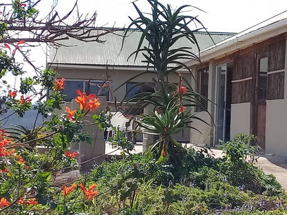 Hluhluwe Gate Safari Camp Hluhluwe Game Reserve And Surrounds Kwazulu Natal South Africa Balcony, Architecture, House, Building, Palm Tree, Plant, Nature, Wood, Garden