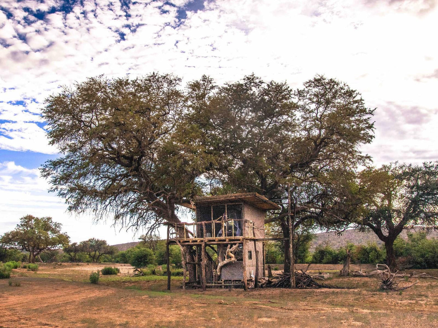 Hobatere Lodge, Double rooms Bungalow, Lowland, Nature