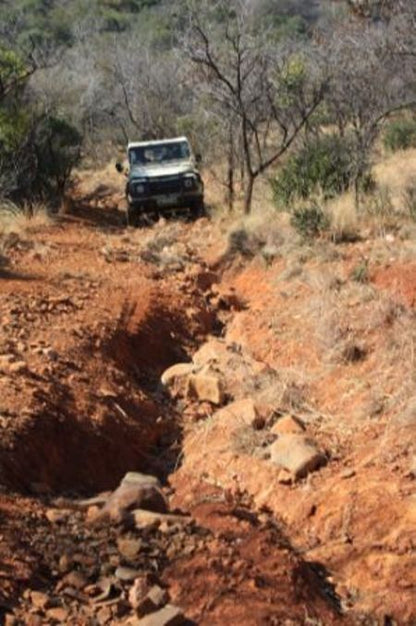 Hodge Podge Lodge Backpackers Magaliesburg Gauteng South Africa Desert, Nature, Sand, Vehicle