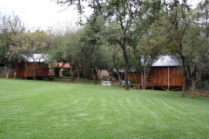 Hodge Podge Lodge Backpackers Magaliesburg Gauteng South Africa Plant, Nature