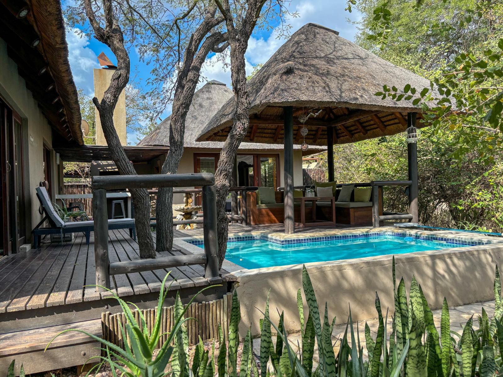 Hoedspruit Raptors Lodge N16, Swimming Pool