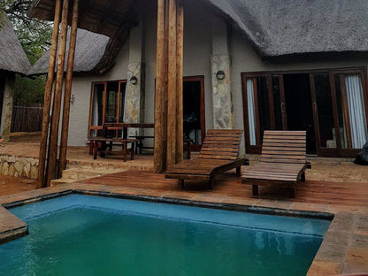 Hoedspruit Wildlife Estate Guesthouse Hoedspruit Limpopo Province South Africa Swimming Pool