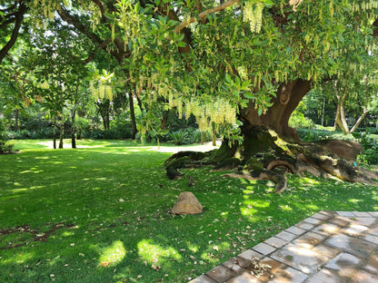 Hoeveld House Sandton Johannesburg Gauteng South Africa Plant, Nature, Tree, Wood, Garden