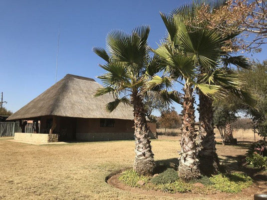 Hogs Guesthouse Family Unit Dinokeng Game Reserve Gauteng South Africa Complementary Colors, Building, Architecture, Palm Tree, Plant, Nature, Wood
