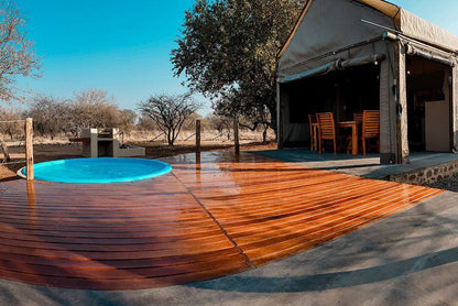 Hogs One And Only Luxury Tent Dinokeng Game Reserve Gauteng South Africa Swimming Pool