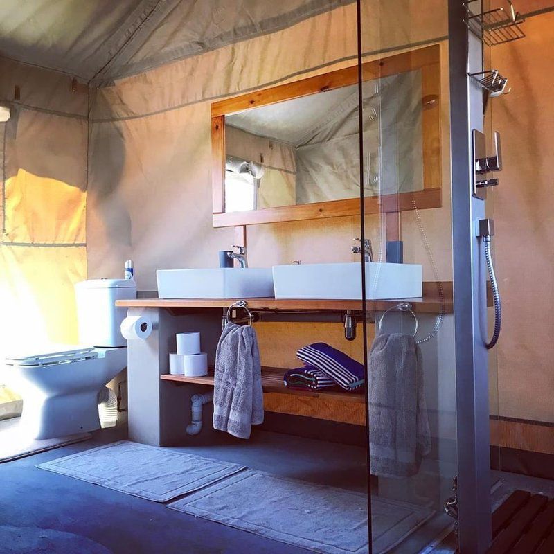 Hogs One And Only Luxury Tent Dinokeng Game Reserve Gauteng South Africa Complementary Colors, Tent, Architecture, Sauna, Wood