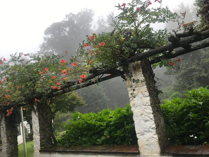 Hogsback Inn Hogsback Eastern Cape South Africa Plant, Nature, Tree, Wood, Garden