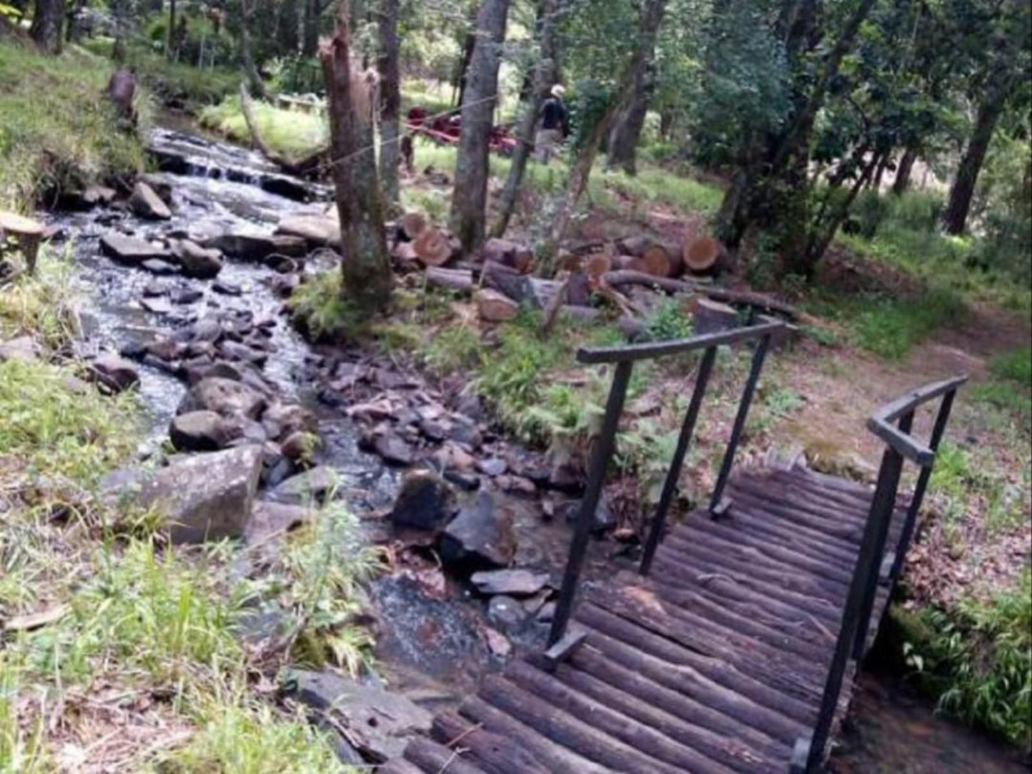 Hogsback Inn Hogsback Eastern Cape South Africa Forest, Nature, Plant, Tree, Wood, River, Waters