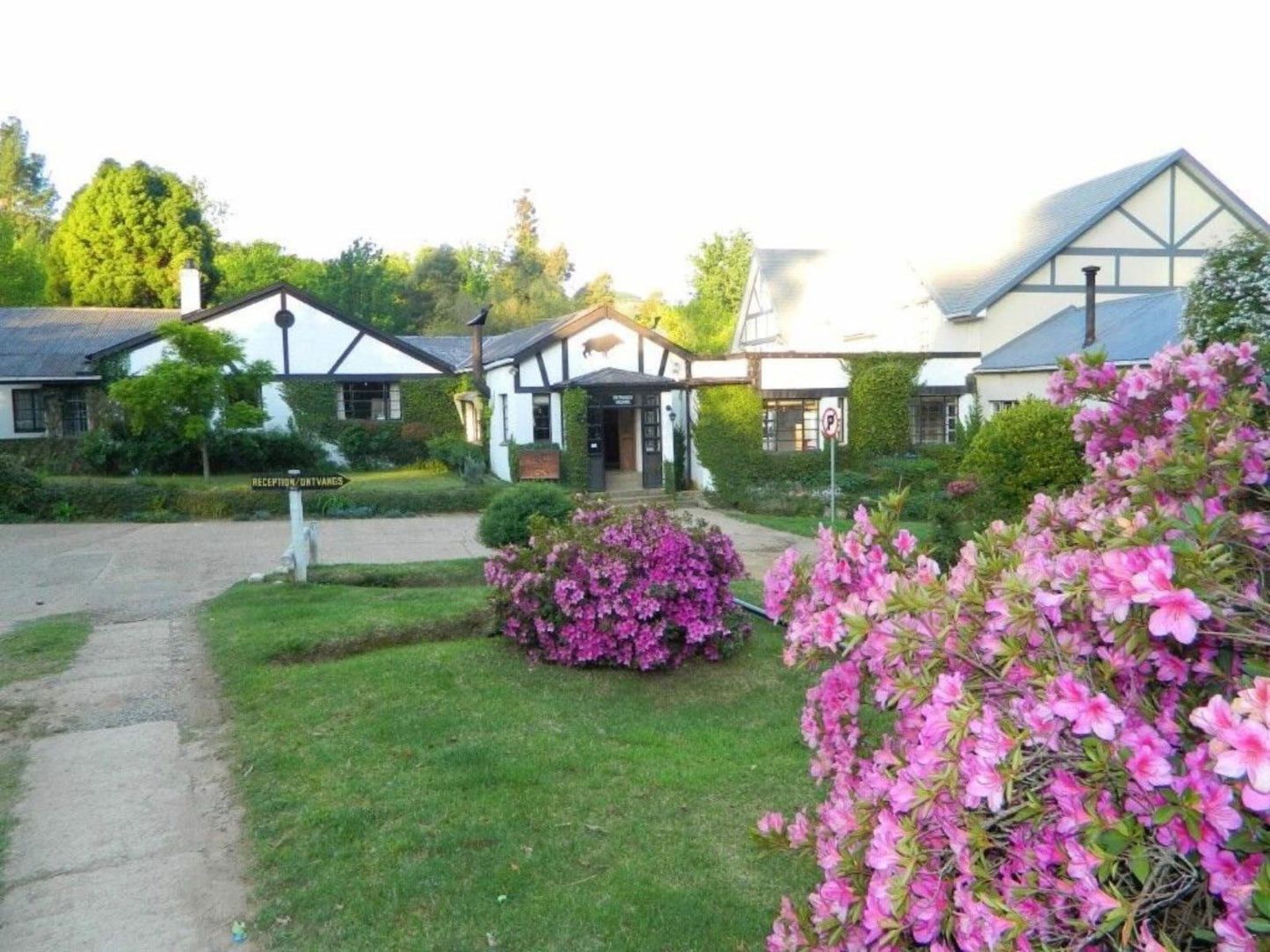 Hogsback Inn Hogsback Eastern Cape South Africa House, Building, Architecture, Plant, Nature, Garden