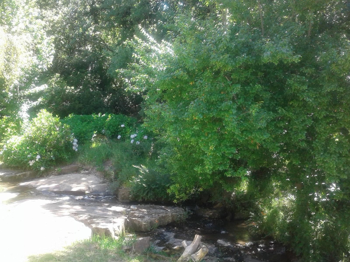 Hogsback Inn Hogsback Eastern Cape South Africa River, Nature, Waters, Tree, Plant, Wood, Waterfall, Garden