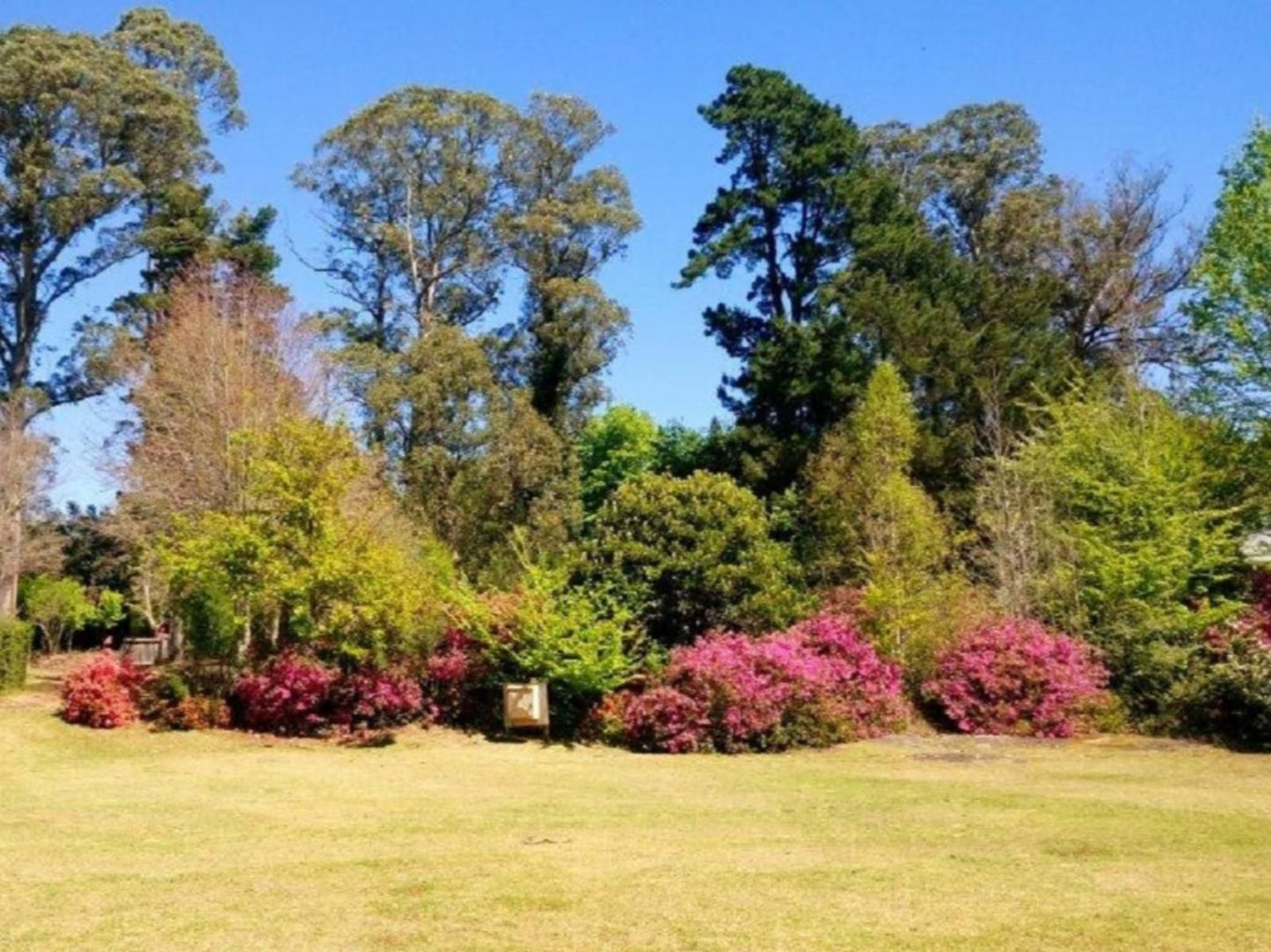 Hogsback Inn Hogsback Eastern Cape South Africa Complementary Colors, Plant, Nature, Garden