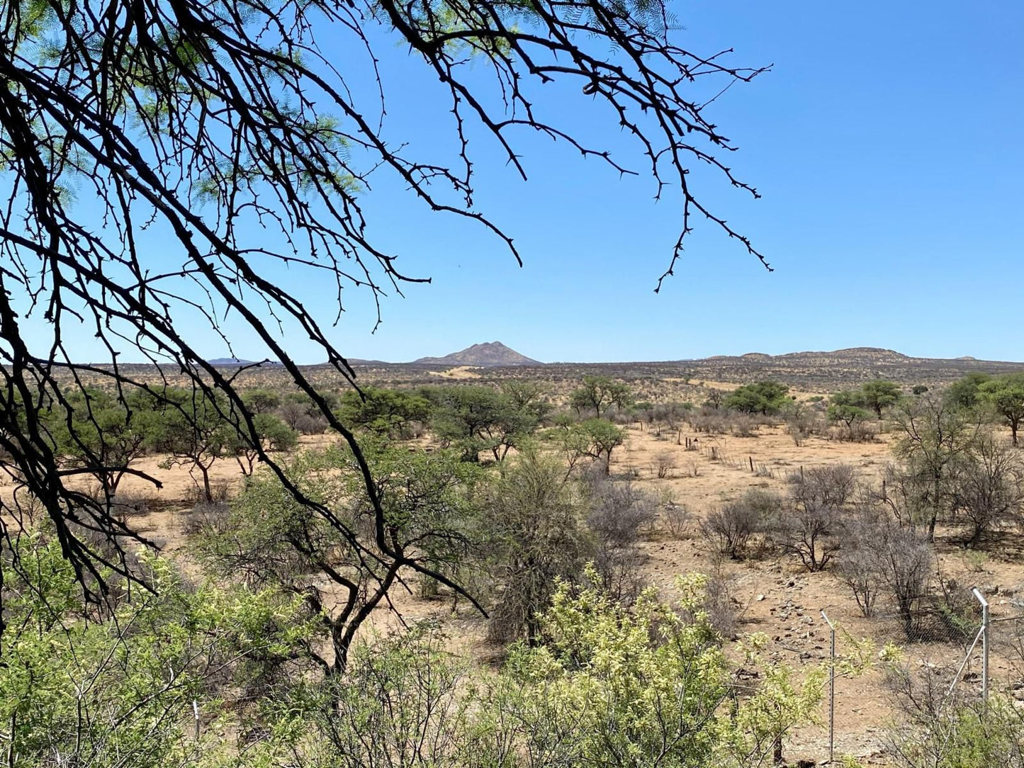 Hohewarte Guestfarm, Cactus, Plant, Nature, Desert, Sand