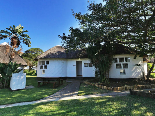 Hole In The Wall Backpackers Hole In The Wall Eastern Cape South Africa House, Building, Architecture, Palm Tree, Plant, Nature, Wood