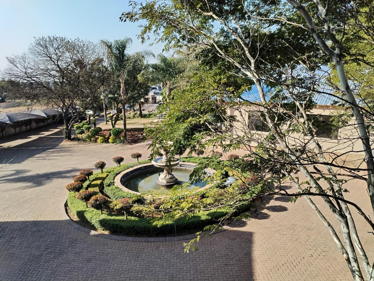 Hole In One Boutique Hotel And Conference Centre Ruimsig Johannesburg Gauteng South Africa Palm Tree, Plant, Nature, Wood, Reptile, Animal, Garden