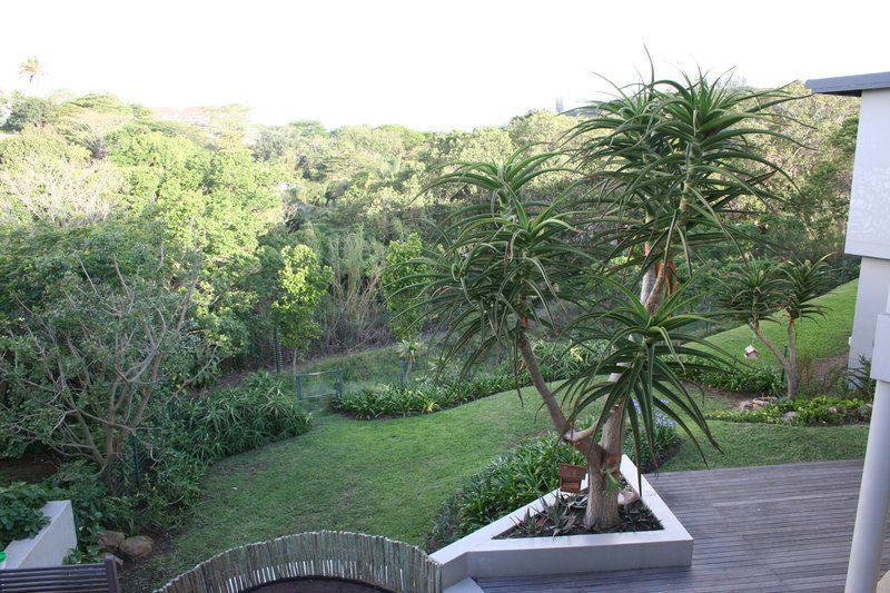 Dunkirk Estate Holiday Home Dunkirk Estate Ballito Kwazulu Natal South Africa Palm Tree, Plant, Nature, Wood, Garden