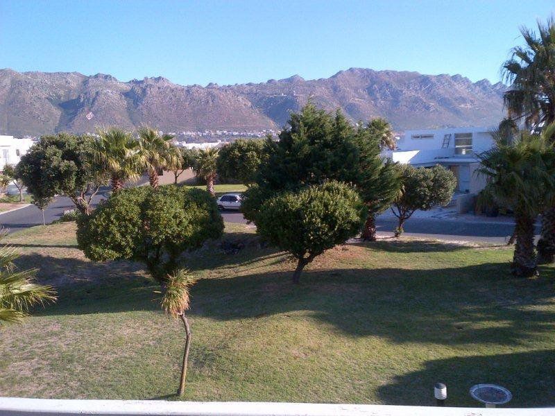 Holiday Apartment Gordons Bay Gordons Bay Western Cape South Africa Palm Tree, Plant, Nature, Wood