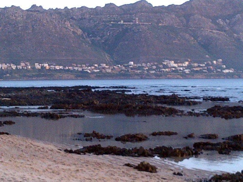 Holiday Apartment Gordons Bay Gordons Bay Western Cape South Africa Beach, Nature, Sand