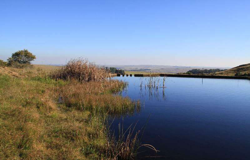 Holingsberg Chalet Dullstroom Mpumalanga South Africa Complementary Colors, Colorful, River, Nature, Waters, Lowland