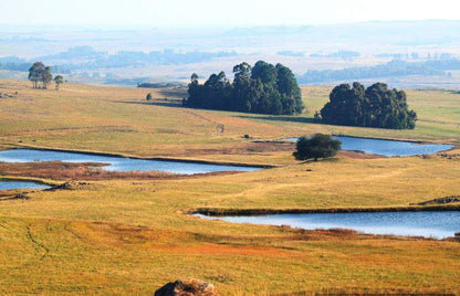 Holingsberg Chalet Dullstroom Mpumalanga South Africa Complementary Colors, Nature