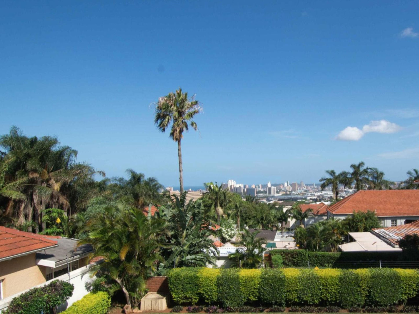 Holland House Windermere Durban Kwazulu Natal South Africa Complementary Colors, Palm Tree, Plant, Nature, Wood, Skyscraper, Building, Architecture, City