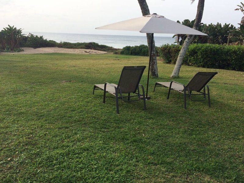 The Holiday Home On The Beach Oslo Beach Kwazulu Natal South Africa Beach, Nature, Sand, Palm Tree, Plant, Wood