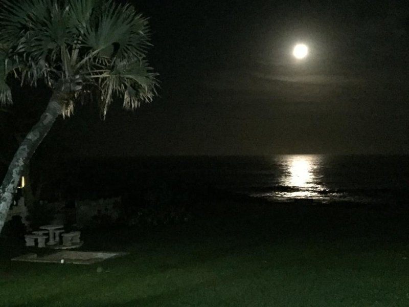 The Holiday Home On The Beach Oslo Beach Kwazulu Natal South Africa Dark, Beach, Nature, Sand, Palm Tree, Plant, Wood, Framing, Moon