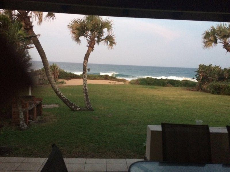 The Holiday Home On The Beach Oslo Beach Kwazulu Natal South Africa Beach, Nature, Sand, Palm Tree, Plant, Wood, Framing