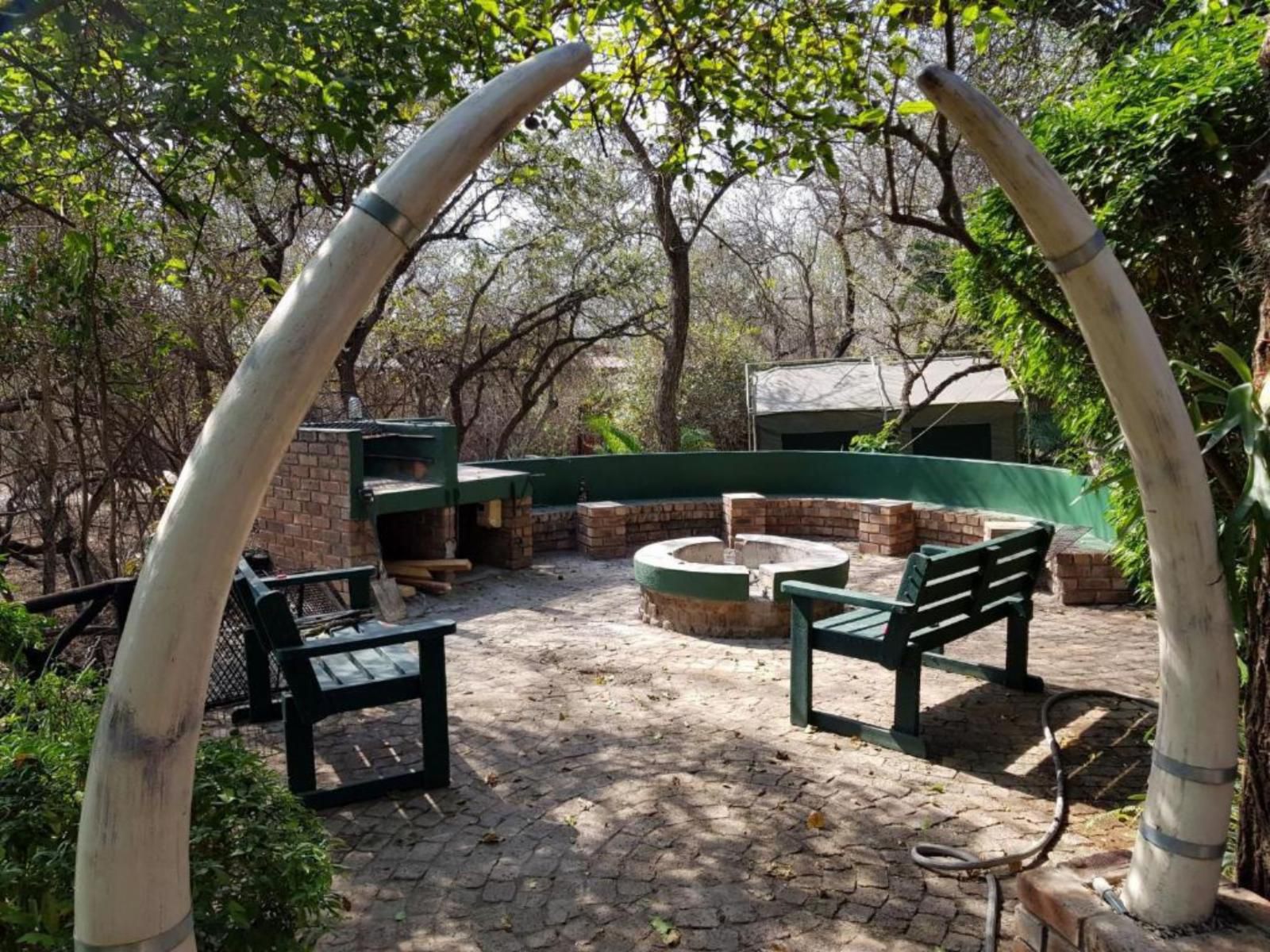 Homebase Kruger Marloth Park Mpumalanga South Africa Garden, Nature, Plant
