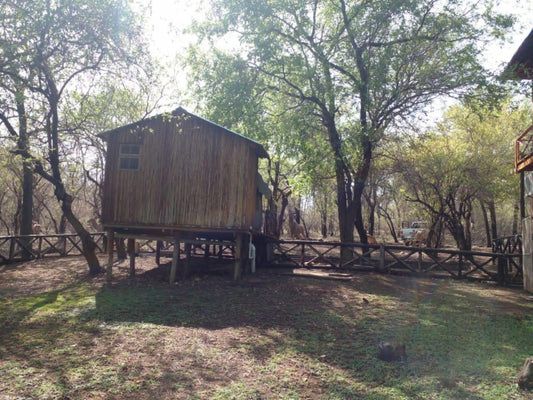 Safari Tent @ Homebase Kruger